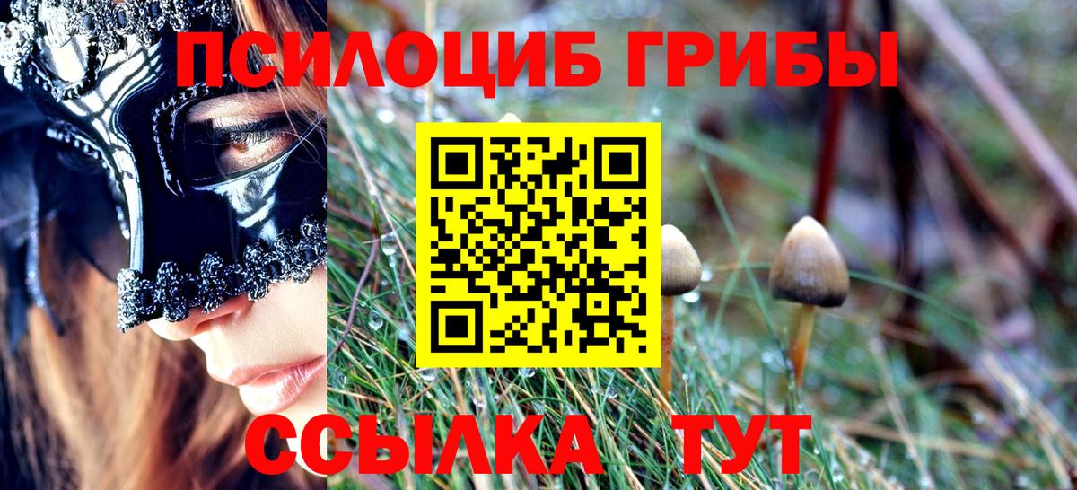 Псилоцибиновые грибы Cubensis  Псилоцибиновые грибы Magic Shrooms  Домодедово  Вход с VPN 